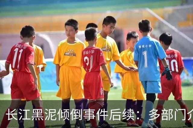 长江黑泥倾倒事件后续：多部门介入调查，源头已查明